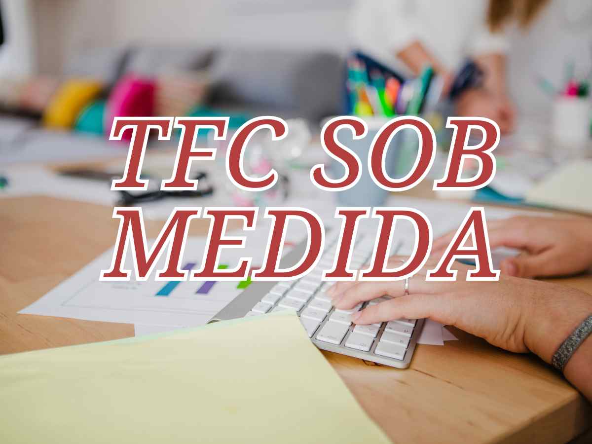 Imagem de pessoas trabalhando juntas em laptops, simbolizando a criação de um TFC sob medida